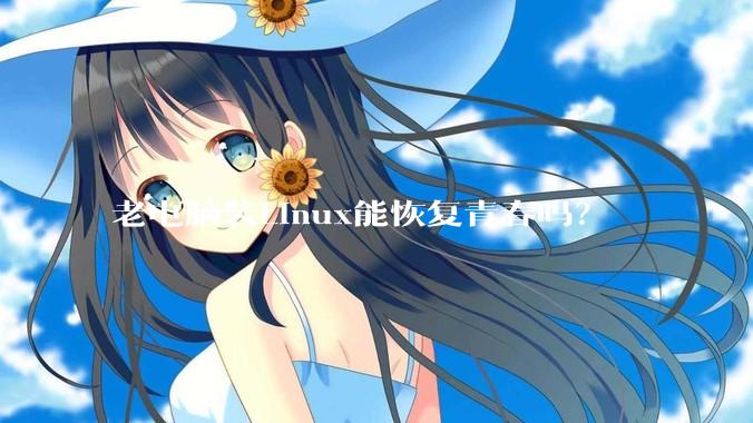 老电脑装Linux能恢复青春吗？